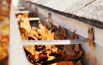 Wood Gate gutter cleaning companies